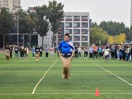 哈兰德欧冠30球仅用25场，打破范尼纪录