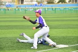 桥牌职业选手配合体系分析